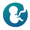Obstetrics And Gynaecology